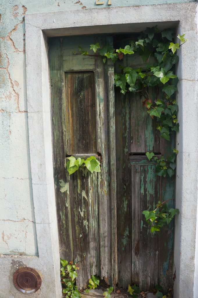 © Image Sue Hall
Door with ivy in Cachopo

